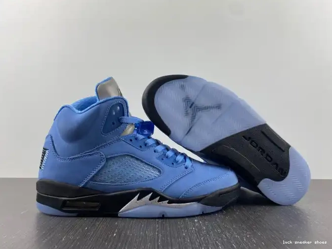 Rep LUCY 5 Jordan UNC DV1310-401 Air 0508